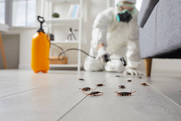 Commercial Kitchen Cockroach Control in Aberdeen Proving Ground